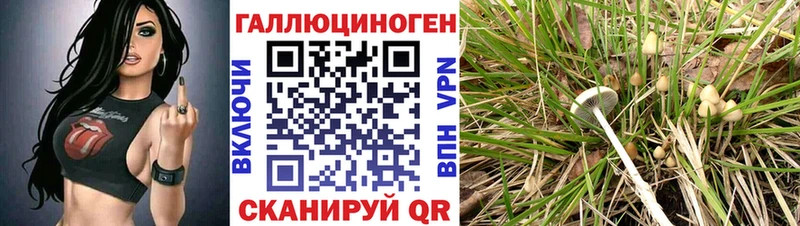 Галлюциногенные грибы Magic Shrooms Екатеринбург
