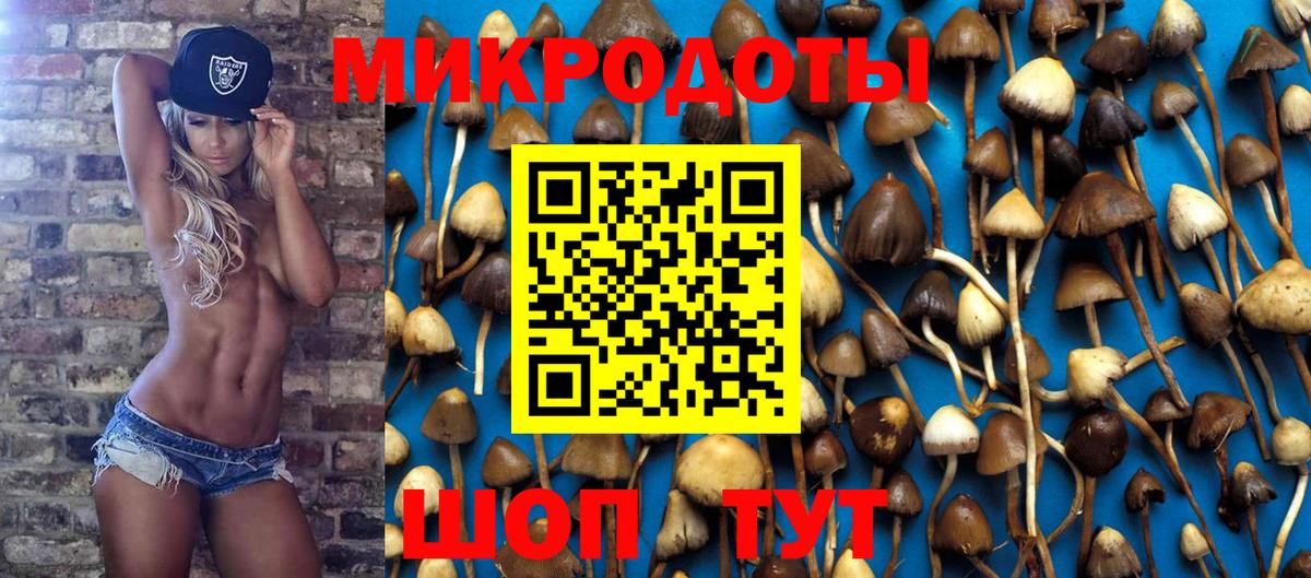 Екатеринбург  Псилоцибиновые грибы мицелий  Вход с VPN 