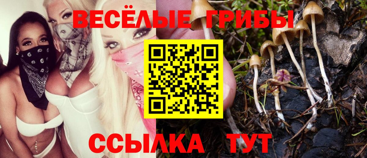 Псилоцибиновые грибы GOLDEN TEACHER Екатеринбург