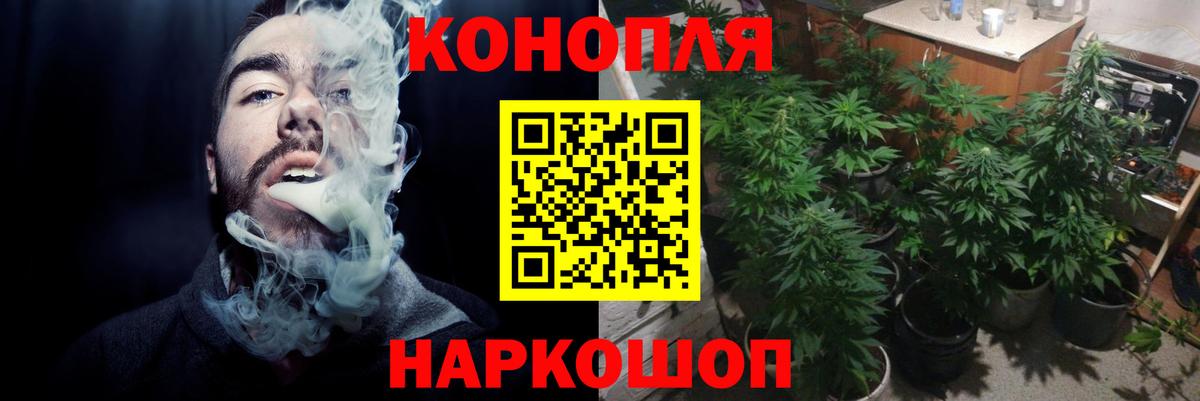 Бошки марихуана White Widow  Шишки марихуана план  Каннабис THC 21%  Вход с VPN  Екатеринбург 